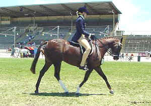 rider141653.jpg (25054 bytes)