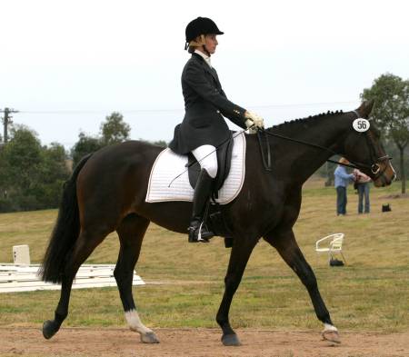 The Virtual Equestrian - AWHA NSW Branch - GALA Weekend Report Dressage ...